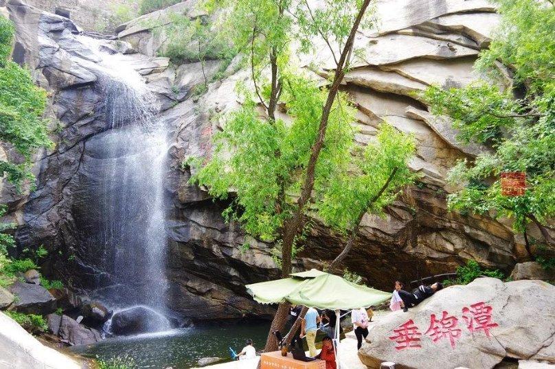 大理一公园养猫替小熊猫“顶岗”？园方澄清：正主藏树上了，猫负责抓老鼠